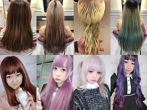 26805070_1562507043867573_3238069708038141417_n.jpg 26805070_1562507043867573_3238069708038141417_n.jpg