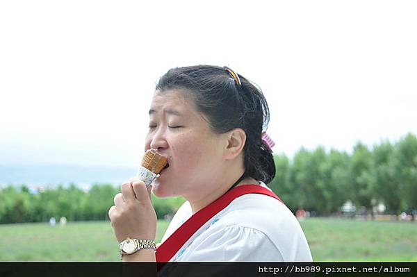 富良野的富田農場