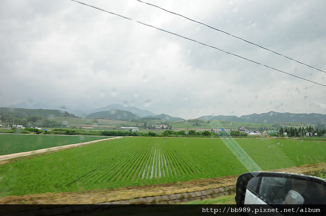 富良野國道(往旭川)