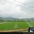 富良野國道(往旭川)