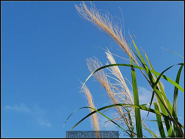 更加全面 , 強悍 , 手機界中的單眼–Galaxy S9測試分享(雙光圈,超級慢動作, AR虛擬人偶 , 防水,雙喇叭) @basic的生活日記 nEO_IMG_20180305_160120