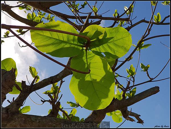 更加全面 , 強悍 , 手機界中的單眼–Galaxy S9測試分享(雙光圈,超級慢動作, AR虛擬人偶 , 防水,雙喇叭) @basic的生活日記 nEO_IMG_20180305_160400