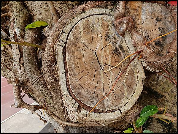 更加全面 , 強悍 , 手機界中的單眼–Galaxy S9測試分享(雙光圈,超級慢動作, AR虛擬人偶 , 防水,雙喇叭) @basic的生活日記 nEO_IMG_20180305_123102