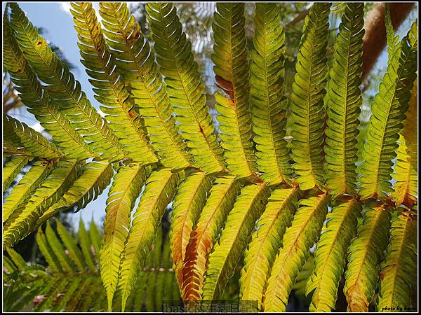 nEO_IMG_20180310_110656