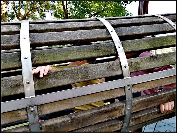 nEO_IMG_IMG_20190124_104846