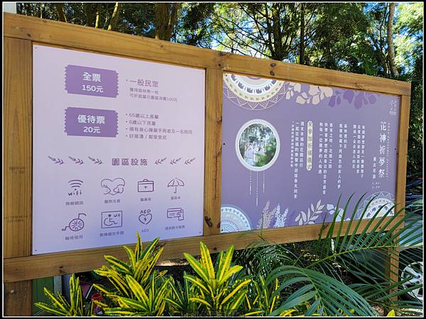 親子遊-新竹尖石薰衣草森林分享