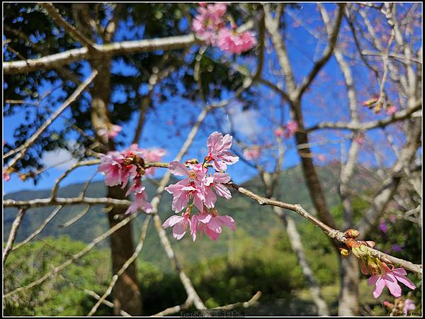 Samsung Galaxy S23 Ultra大量實拍分享( 更大的取景彈性,從照片與影片看看它的表現) @basic的生活日記 /tmp/phpjFrwLo