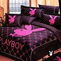 playboy