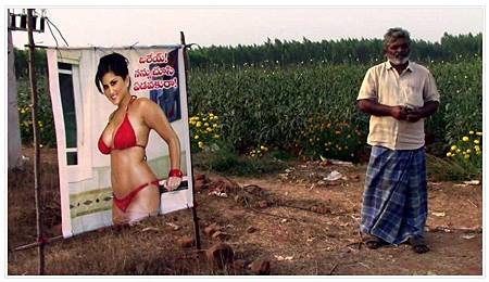 印度農夫巧用美人計 保護作物大豐收