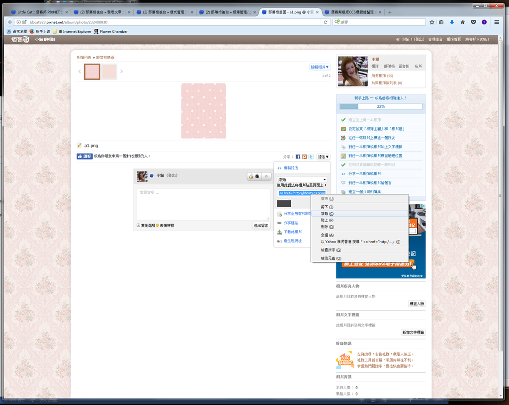 copy photo link.png copy photo link.png