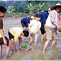 休閒農業3.jpg