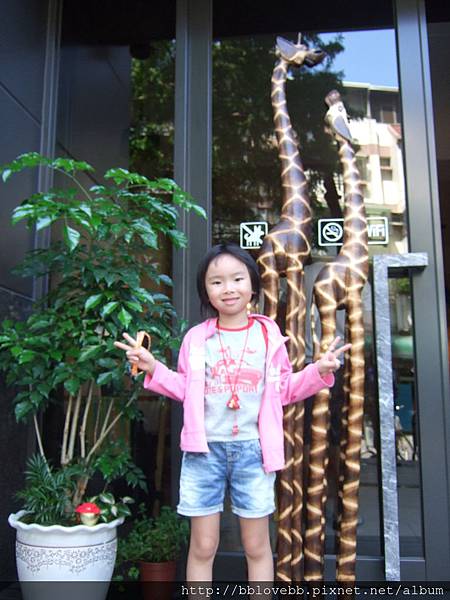 DSCF3403 DSCF3403