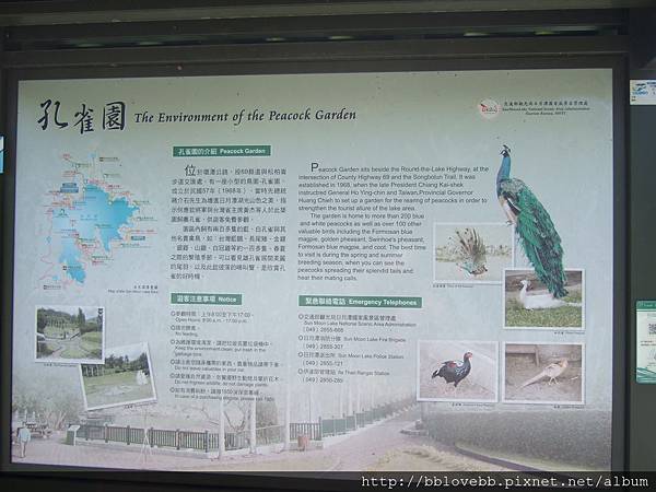 DSCF8802 DSCF8802