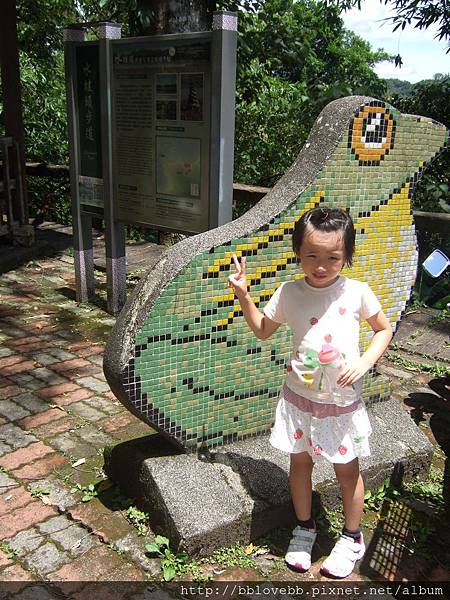 DSCF8849 DSCF8849