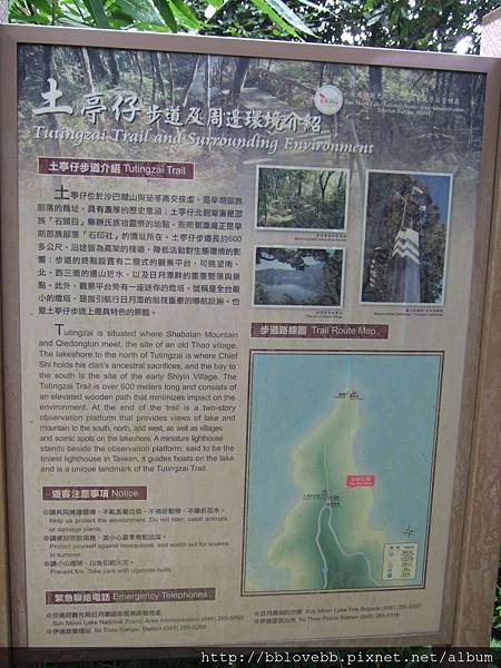 DSCF8917 DSCF8917