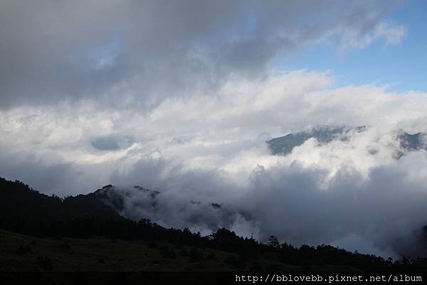 IMG_1265 IMG_1265