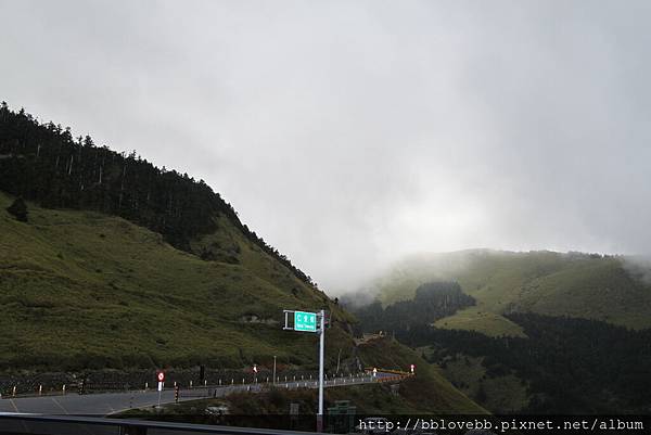 IMG_1272 IMG_1272