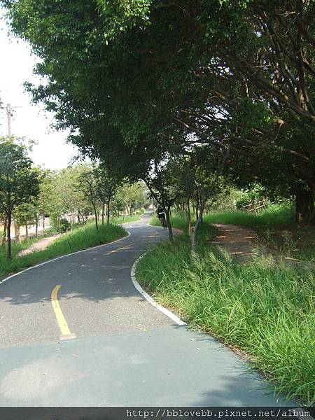 DSCF8266 DSCF8266