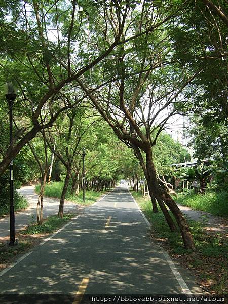 DSCF8268 DSCF8268