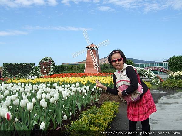 DSCF0377 DSCF0377