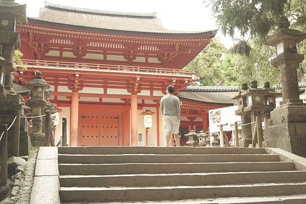 OSAKA大阪自由行 NARA奈良餵鹿 大阪城 道頓堀 聖瑪