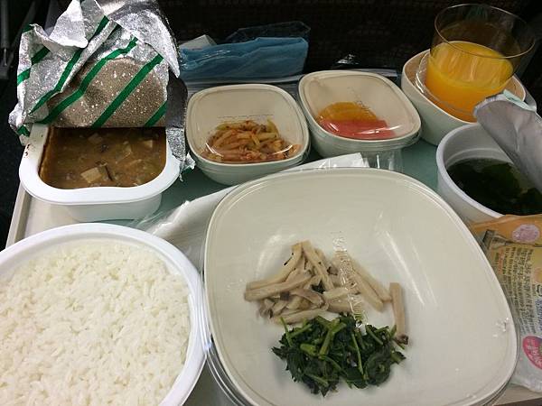 美東紐約遊學出發記~台北桃園TPE-->紐約甘迺迪JFK 大