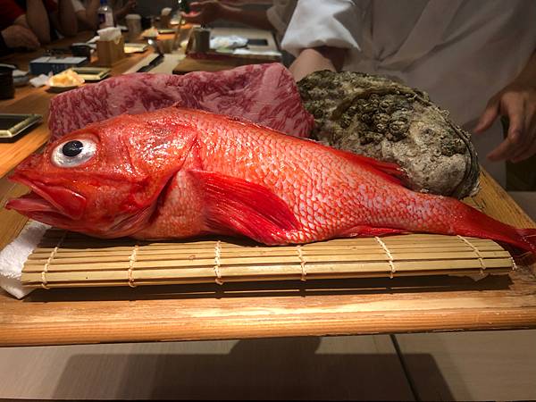 初魚鮨(ㄑ一ˊ) 初體驗～日式鐵板燒初魚日式美食 生魚片美食