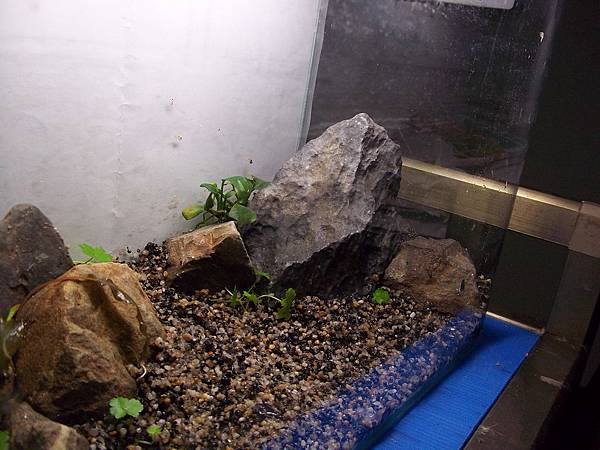 019.JPG 019.JPG