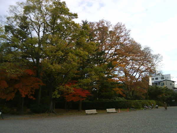 其實就是個大大大公園