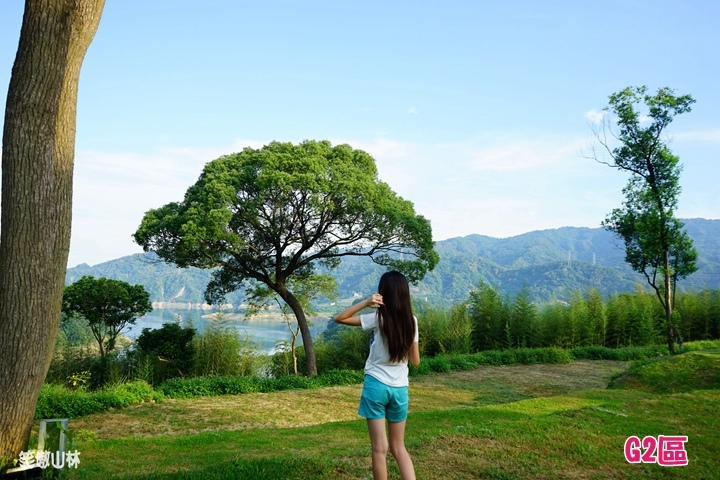 山林鳥日子