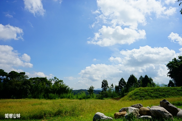 山林鳥日子