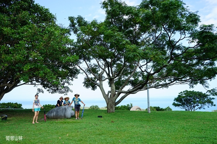 笑傲山林 台東小野柳 (138).jpg