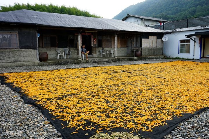 笑傲山林第52露 赤柯山_汪家古厝 (109).jpg