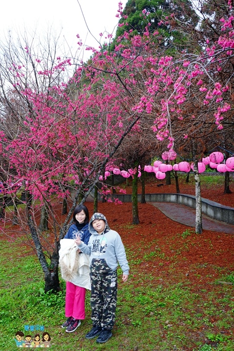 合歡山迎接霸王寒流 (9).JPG