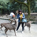 奈良公園 (127).JPG