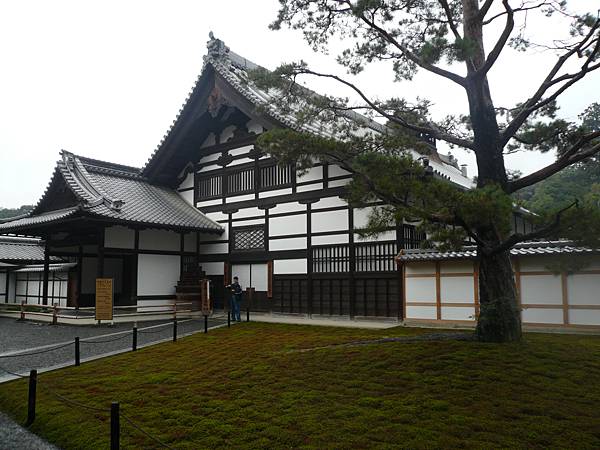 京都-金閣寺 (15).JPG