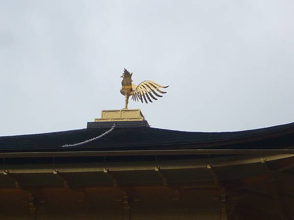 京都-金閣寺 (27).JPG