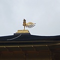 京都-金閣寺 (27).JPG