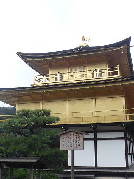 京都-金閣寺 (28).JPG