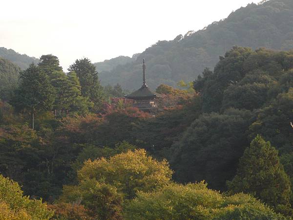 京都 (106).JPG