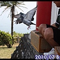 IMG_4698.jpg