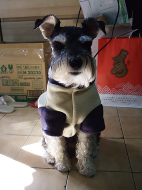 2007/11/25的didi