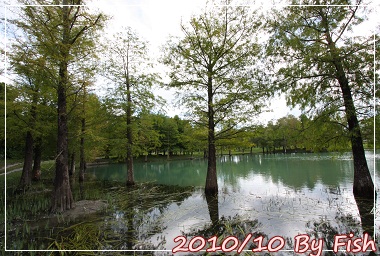 IMG_6794.jpg