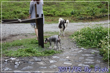 IMG_0973.jpg