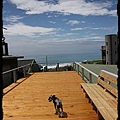 IMG_1172.jpg