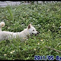 IMG_1409.jpg