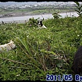 IMG_1410.jpg
