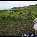IMG_1413.jpg