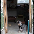 IMG_1452.jpg
