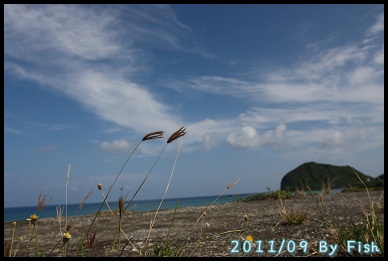 IMG_5129.jpg